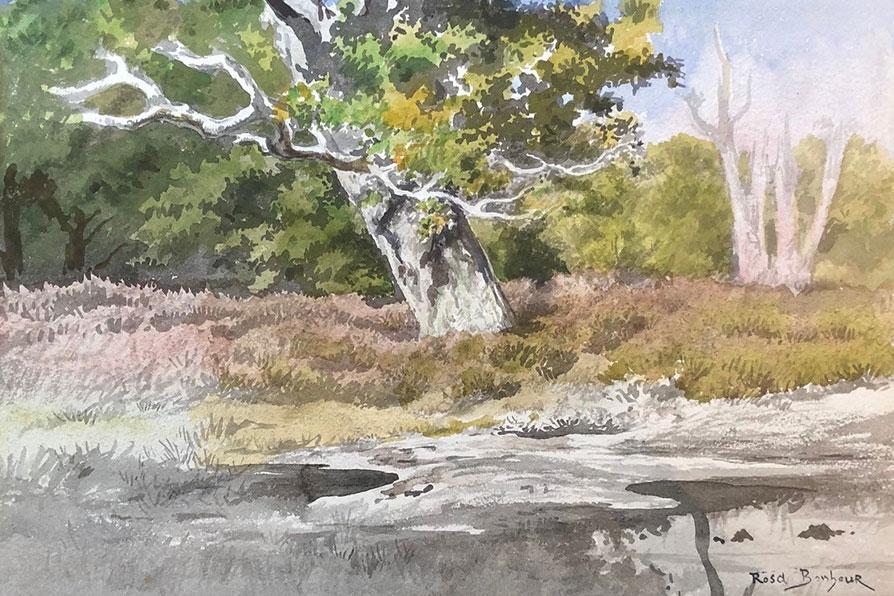 Paysage de la forêt de Fontainebleau peint par Rosa Bonheur